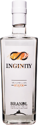 inginity volcanic gin eruptio