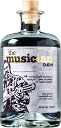 the musician d.gin