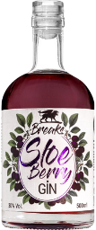 breaks sloe berry gin
