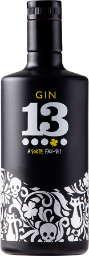 gin 13