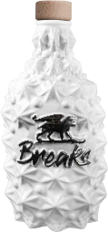 breaks x majolika gin