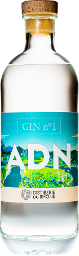 gin n°1 adn